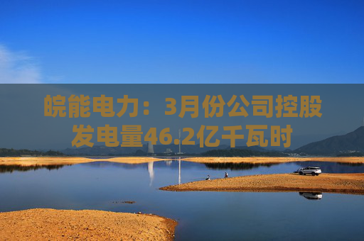 皖能电力：3月份公司控股发电量46.2亿千瓦时