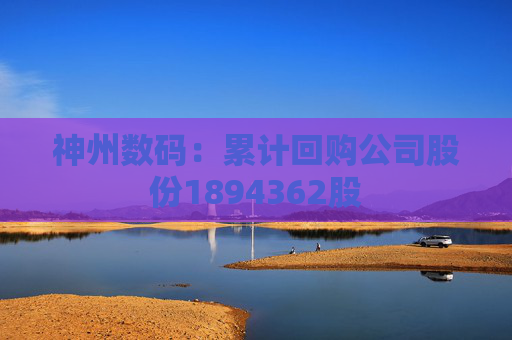 神州数码：累计回购公司股份1894362股  第1张
