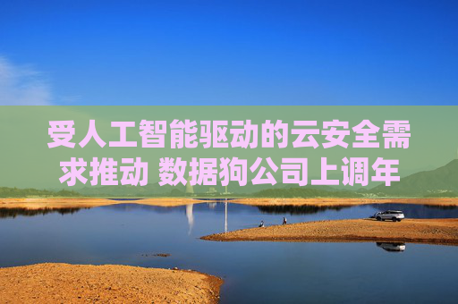 受人工智能驱动的云安全需求推动 数据狗公司上调年度营收预期  第1张