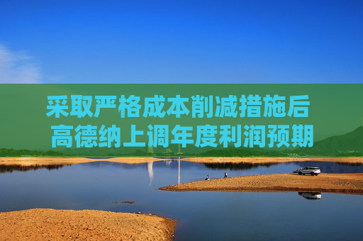 采取严格成本削减措施后 高德纳上调年度利润预期