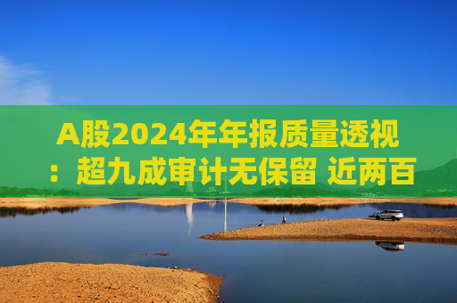A股2024年年报质量透视：超九成审计无保留 近两百家获“非标”