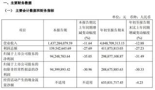桃李面包推出“百洁布蛋糕”，外形酷似厨房清洁用品，营销“翻车”，是创意还是创新不足？