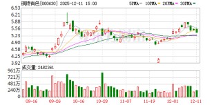 铜陵有色：公司将继续聚焦主营业务