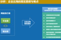中国联合国采购促进会宋嘉：企业出海是一种战略选择