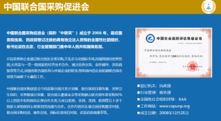 中国联合国采购促进会宋嘉：企业出海是一种战略选择