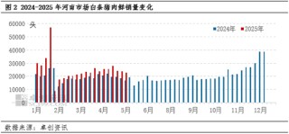 白条猪肉：供应压力依旧 短期河南猪肉价格或偏弱调整