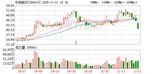 磷酸铁锂“反内卷”推进 中伟股份磷系业务迎来上行窗口