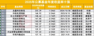 2025公募业绩放榜！233%冠军基创造历史，主动权益包揽前十，中小基金公司崛起