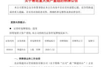 筹划重大资产重组！停牌前涨停