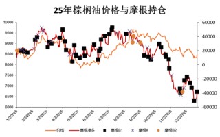如何分析主力席位持仓变化对期货价格的影响——以棕榈油外资席位为例