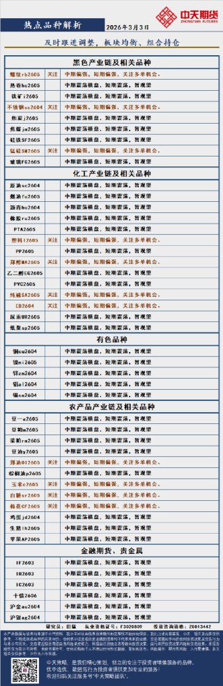 中天策略:3月3日市场分析