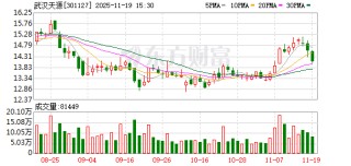 武汉天源：截至2025年10月31日公司股东人数为15819户