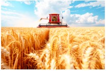 “十五五”开局，农业板块迎来“政策+周期”双重驱动