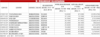 一季度权益基金高仓位运作，科技股成基金经理“香饽饽”