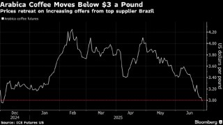 阿拉比卡咖啡跌至去年12月以来最低 巴西收成推进