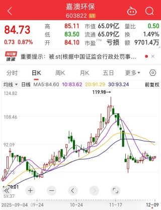财务造假，603822将被“ST”！公司及时任董事长等拟被罚合计1000万元