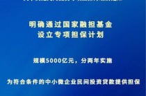 规模5000亿元！民间投资专项担保计划出台