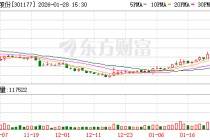 罕见涨停！迪阿股份净利润创近3年新高，提质增效成果凸显