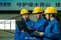 四连板创股价新高，豫光金铅业绩失“光”，股价翻倍难破无矿之痛