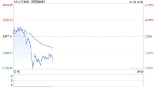 亚洲黄金ETF创纪录资金流入引担忧，或成金价见顶信号