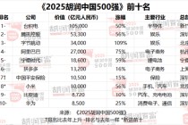 2025胡润中国500强发布：美团退出前十，位列第17位