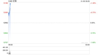 快讯：伦敦铜价涨幅扩大突破每吨13100美元，续创新高