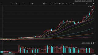 6倍大牛股，停牌核查结束，明日复牌