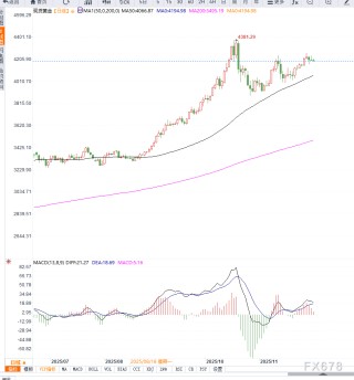 美国就业数据走弱强化降息预期，黄金维持高位震荡