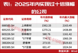 下一只十倍股或从这里诞生！