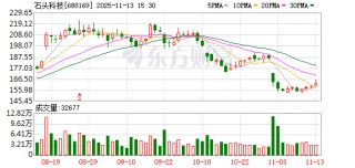 “双十一”期间石头科技扫地机器人市场份额达34.75%