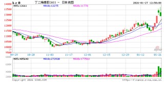 华泰期货：资金青睐化工板块，推动丁二烯橡胶上涨