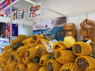 汪小菲试吃，安慕希跨界……在好博会，逛着逛着就吃饱了