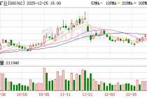 西藏矿业：扎布耶盐湖提锂项目实际所得税税率可降至9%
