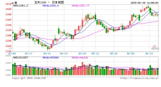 中信期货玉米半年报：供需结构性收紧 节奏性机会凸显