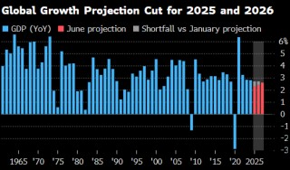 世界银行将2025年全球经济增长预期下调至2.3%
