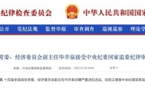 毕井泉涉嫌严重违纪违法被查 曾因长生生物疫苗造假事件引咎辞职