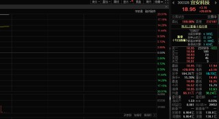镁需求有望大幅提升，宜安科技股价20CM涨停