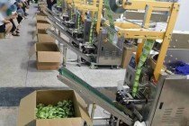 零食中加泻药，两公司被查，多人获刑！