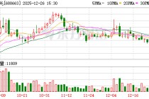 新风光：截至2025年12月19日公司股东人数为6419户