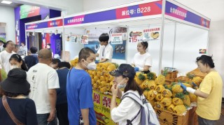 好博会 | 孩子尝了一口说不错！“宝妈”抢购台湾凤梨：价格实惠还好吃