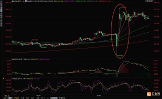 日本央行如期加息25个基点，美元兑日元为何逆势上涨？