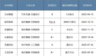 年度盘点｜耐心资本发力硬科技！八大头部国资机构2025年布局揭秘
