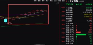 沪指，10连阳！这一板块，午后爆发