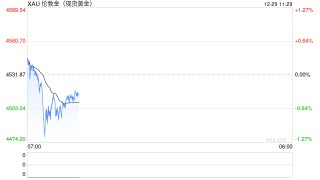 炒黄金用哪个APP好？主流平台深度解析，把握2026年黄金投资机会