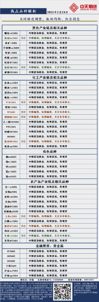 中天策略:2月24日市场分析