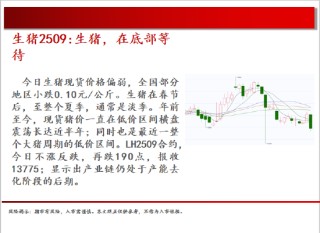 中天期货:棕榈震荡回落 白糖走势不稳