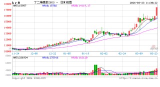 快讯：丁二烯橡胶主力合约触及涨停