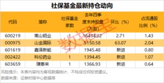 首次列入新兴支柱产业！相关概念集体大涨