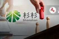 辽宁首富对手来了！马应龙母公司入局杉杉重整