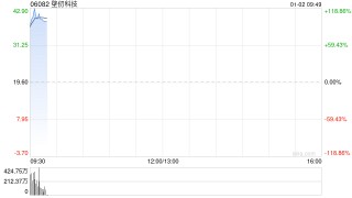 壁仞科技首挂上市 早盘上涨116.53%
